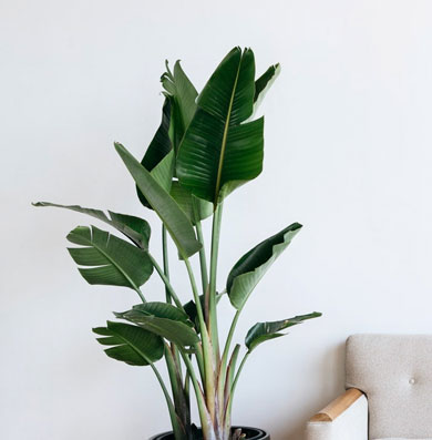 Start your Invisalign® journey today